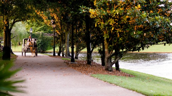 Passeios de carruagem 